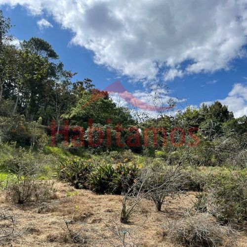 Lote en venta en El Chuscal, El Retiro, 9711 m² · foto 6 de 10