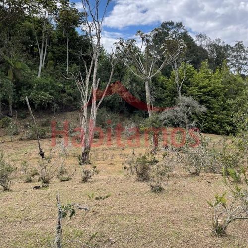 Lote en venta en El Chuscal, El Retiro, 9711 m² · foto 7 de 10