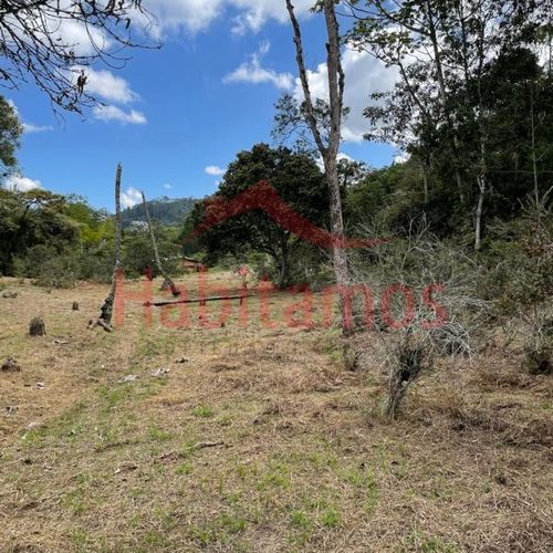 Lote en venta en El Chuscal, El Retiro, 9711 m² · foto 9 de 10