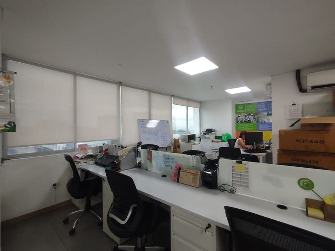 Oficina en arriendo en Los Alpes, Pereira, 42 m² · foto 6 de 8