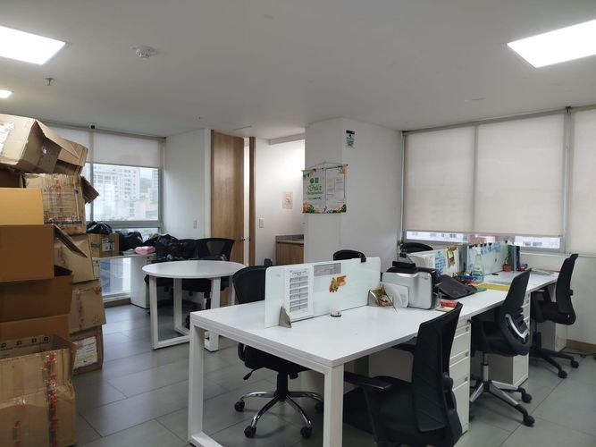 Oficina en arriendo en Los Alpes, Pereira, 42 m² · foto 7 de 8