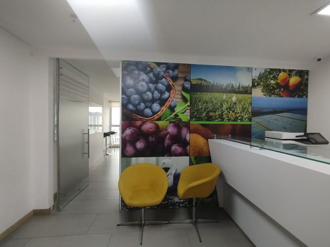 Oficina en arriendo en Los Alpes, Pereira, 76 m² · foto 3 de 11