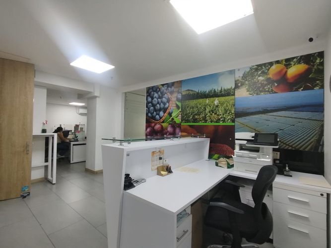 Oficina en arriendo en Los Alpes, Pereira, 76 m² · foto 4 de 11