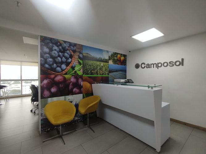 Oficina en arriendo en Los Alpes, Pereira, 76 m² · foto 6 de 11