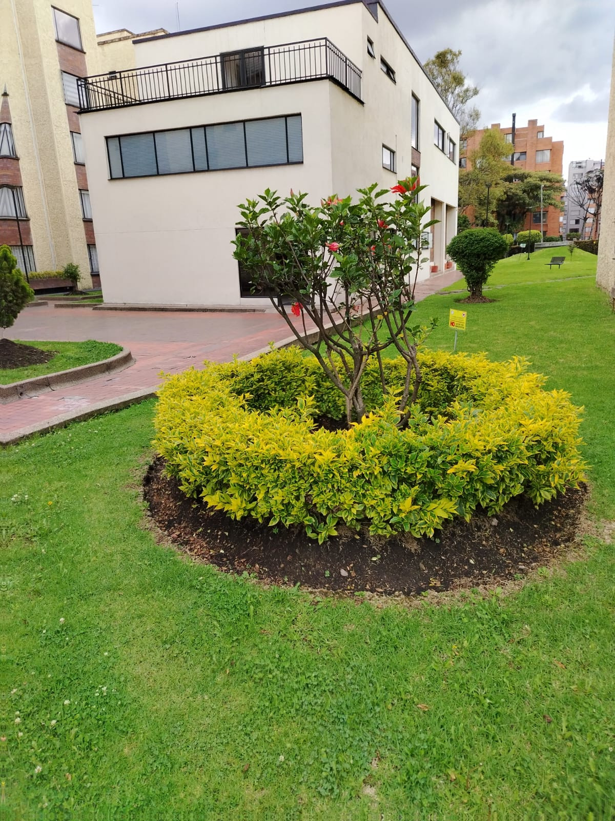 Apartamento en venta en Colina Campestre, Bogotá · foto 19 de 22