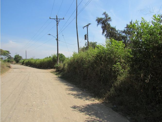 Lote en venta en Juanchito, Candelaria, 20000 m² · foto 3 de 11