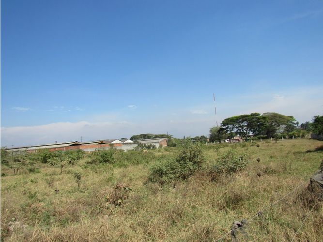 Lote en venta en Juanchito, Candelaria, 20000 m² · foto 6 de 11
