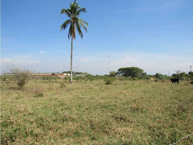 Lote en venta en Juanchito, Candelaria, 20000 m² · foto 8 de 11