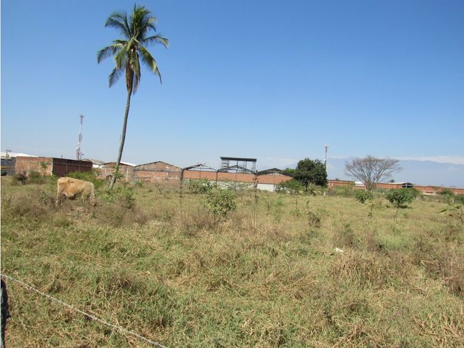 Lote en venta en Juanchito, Candelaria, 20000 m² · foto 9 de 11