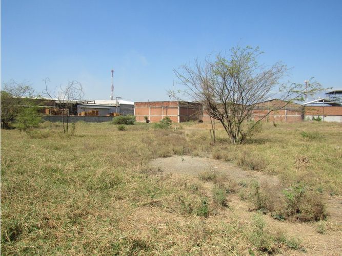 Lote en venta en Juanchito, Candelaria, 20000 m² · foto 11 de 11