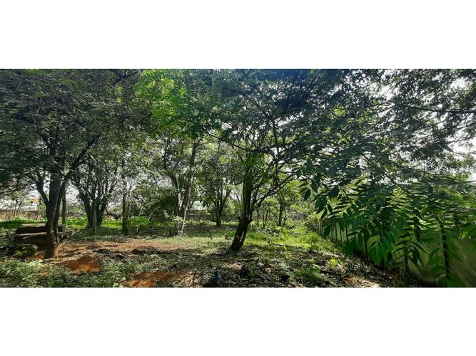 Lote en venta en Pance, Cali, 3200 m² · foto 4 de 8