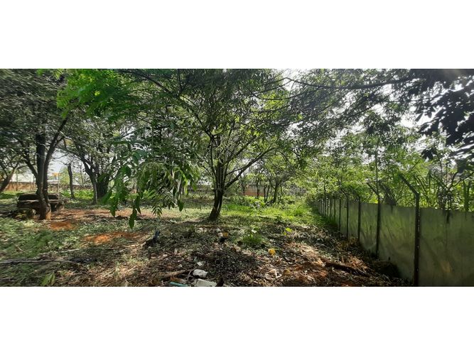 Lote en venta en Pance, Cali, 3200 m² · foto 6 de 8