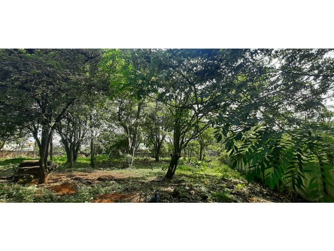 Lote en venta en Pance, Cali, 3200 m² · foto 8 de 8