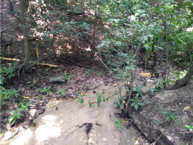 Finca en venta en Bavaria, Santa Marta, 200 m² · foto 5 de 8