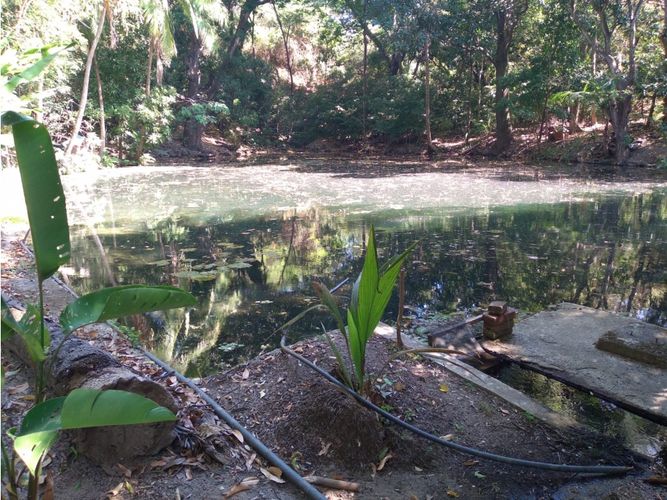 Finca en venta en Bavaria, Santa Marta, 200 m² · foto 7 de 8
