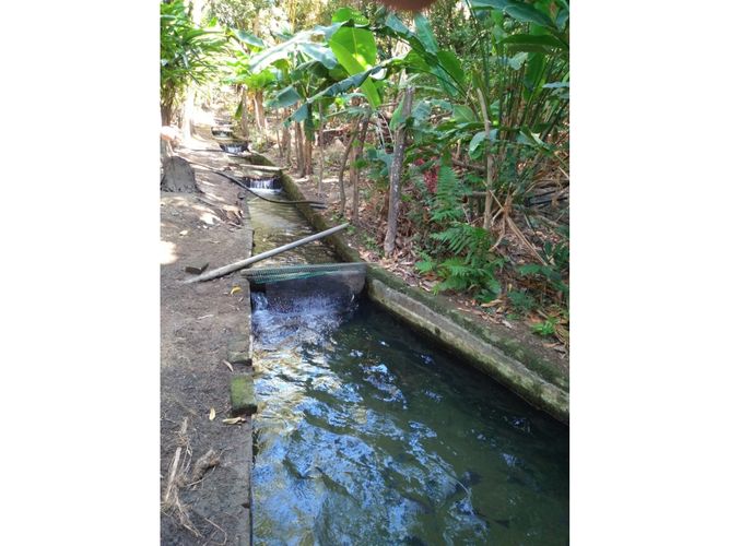 Finca en venta en Bavaria, Santa Marta, 200 m² · foto 8 de 8