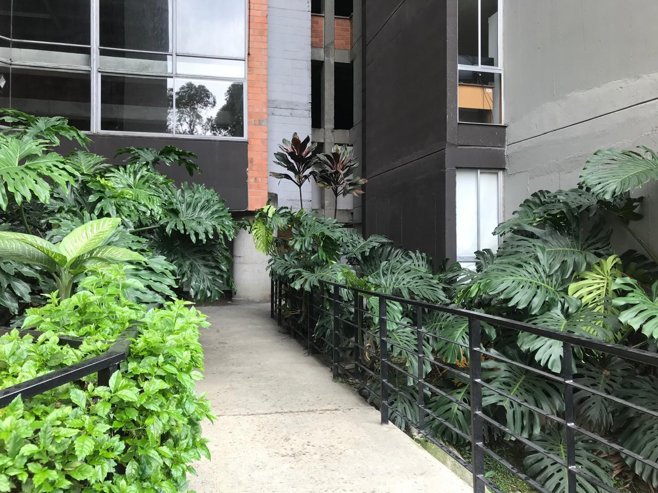 Apartamento en venta en Belén, Medellín 5