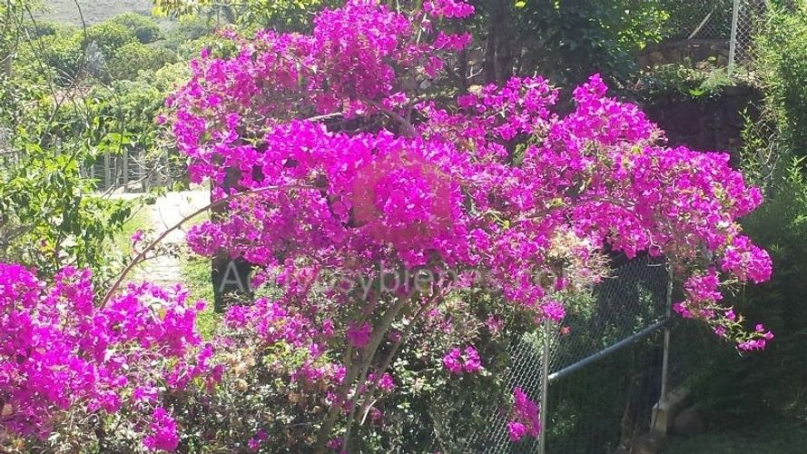 Finca en venta en Simon Bolivar Sb (Centro), Copacabana, 3000 m² · foto 22 de 24