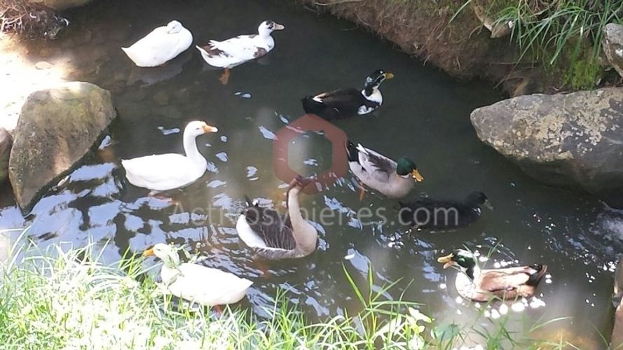 Finca en venta en Simon Bolivar Sb (Centro), Copacabana, 3000 m² · foto 23 de 24