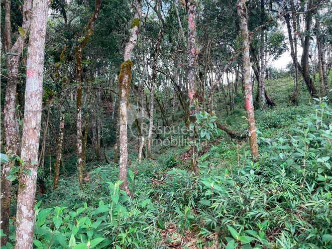 Lote en venta en Yarumal, Medellín, 3648 m² · foto 8 de 8