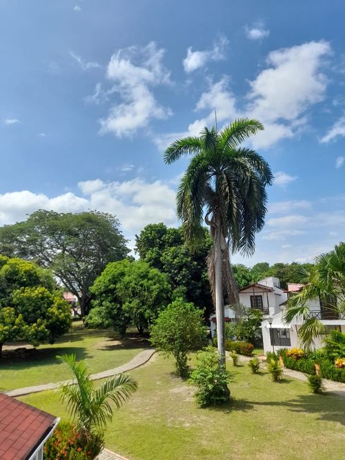 Casa de 3 alcobas en venta en Ricaurte, 158 m² · foto 14 de 21