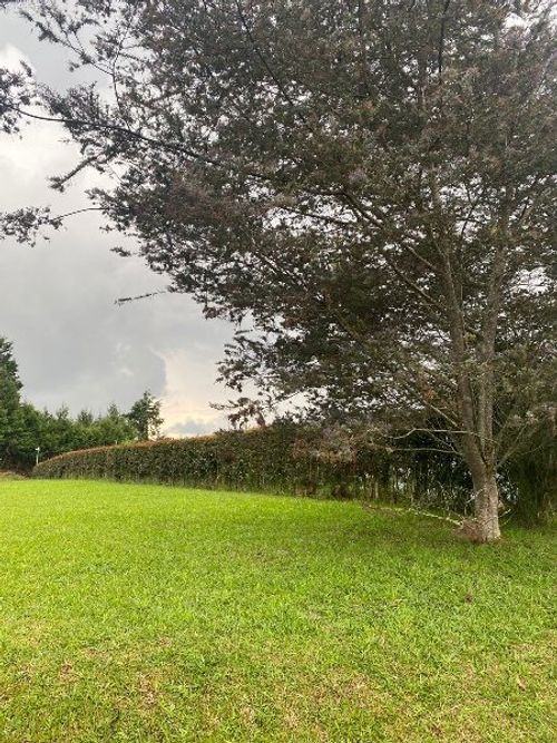 Lote en venta en Guarne, 2084 m² · foto 6 de 8