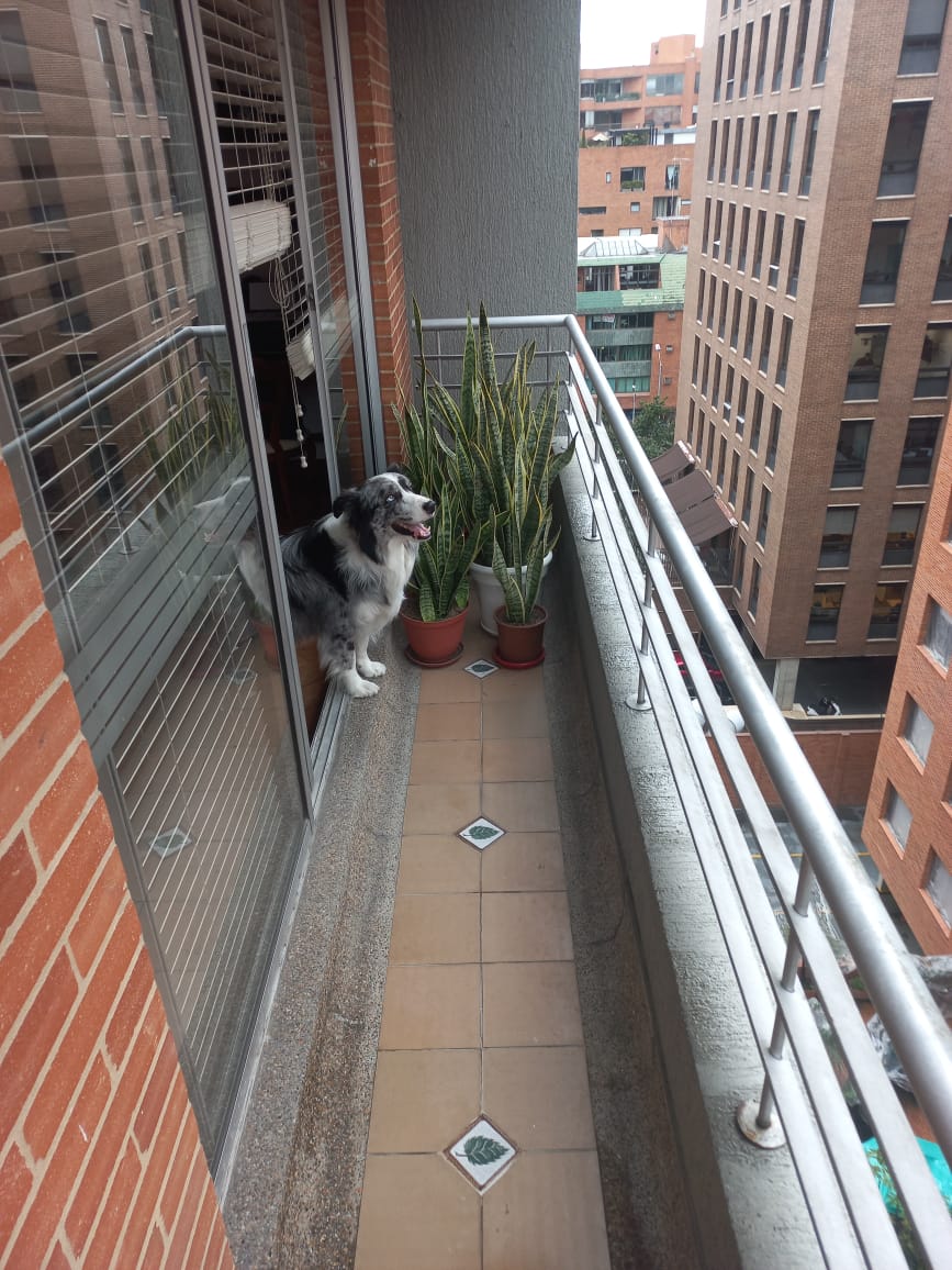 Apartamento en venta en El Virrey, Bogotá · foto 11 de 15