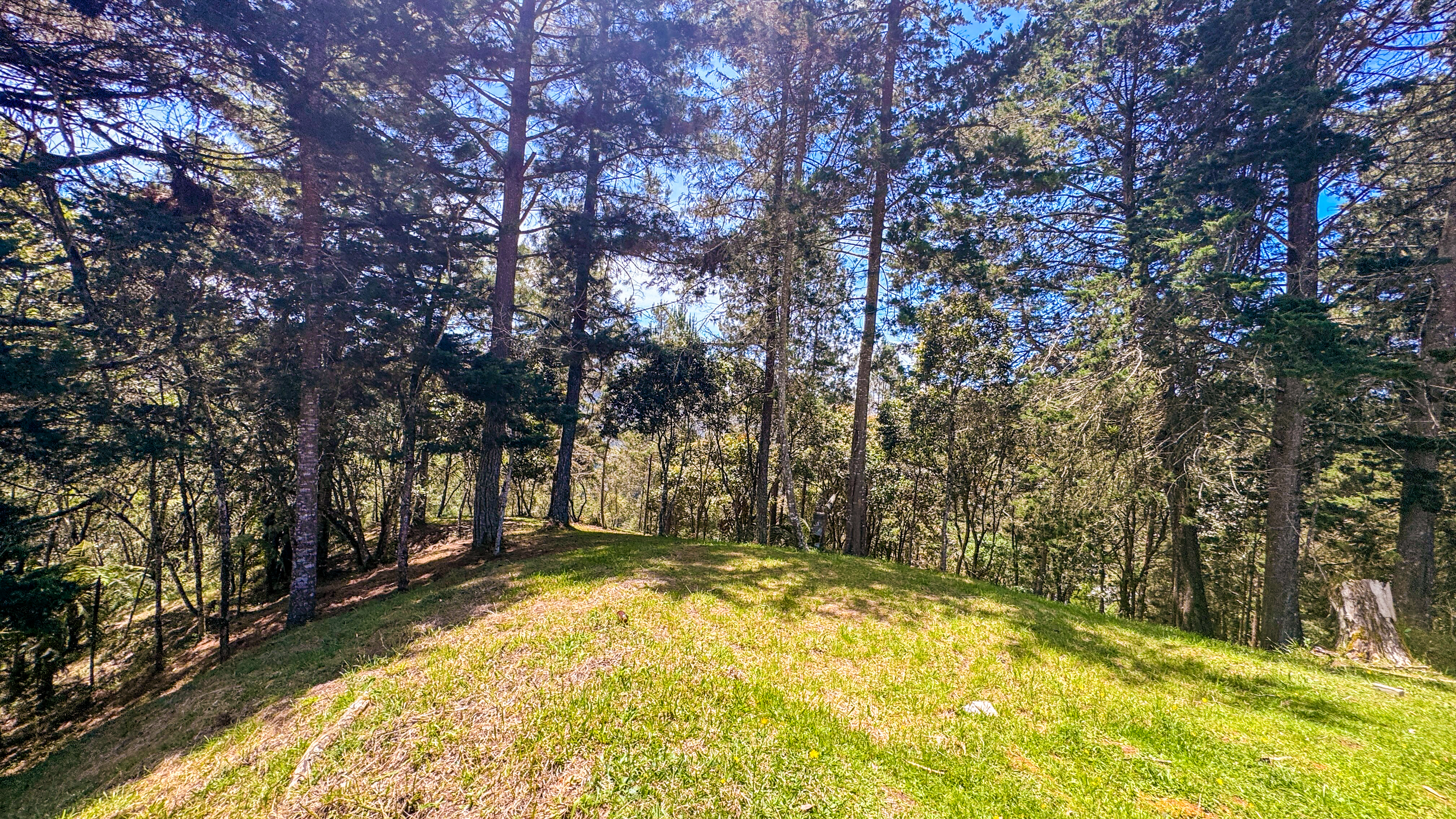 Land in El portento for Sale - 3