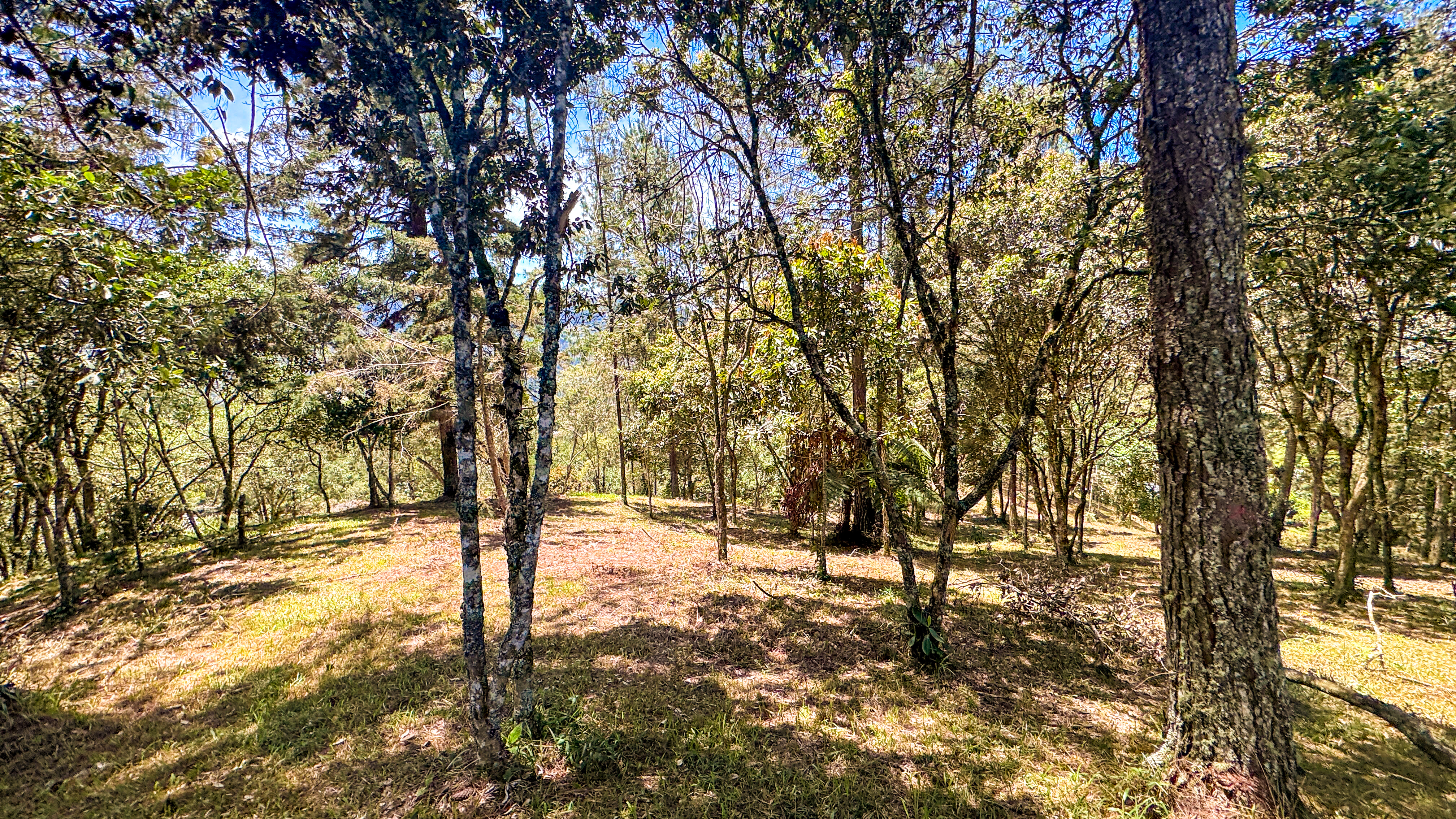 Land in El portento for Sale - 4