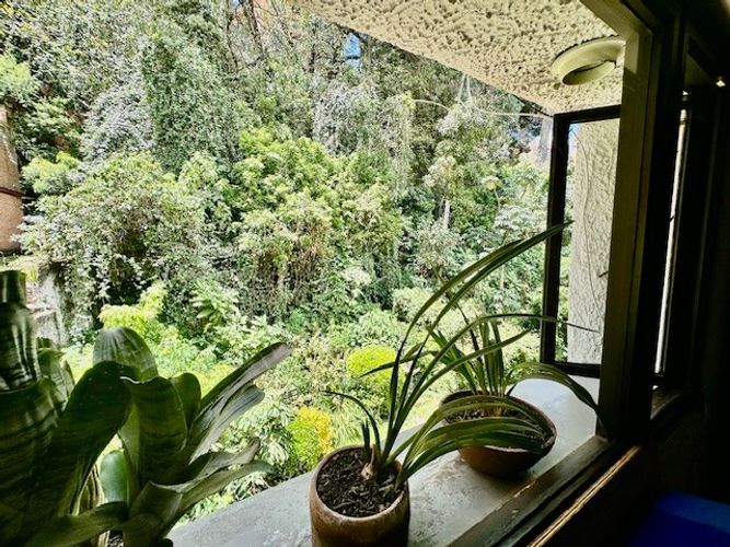 Casa de 3 alcobas en venta en Los Rosales, Bogotá, 483 m² · foto 11 de 15