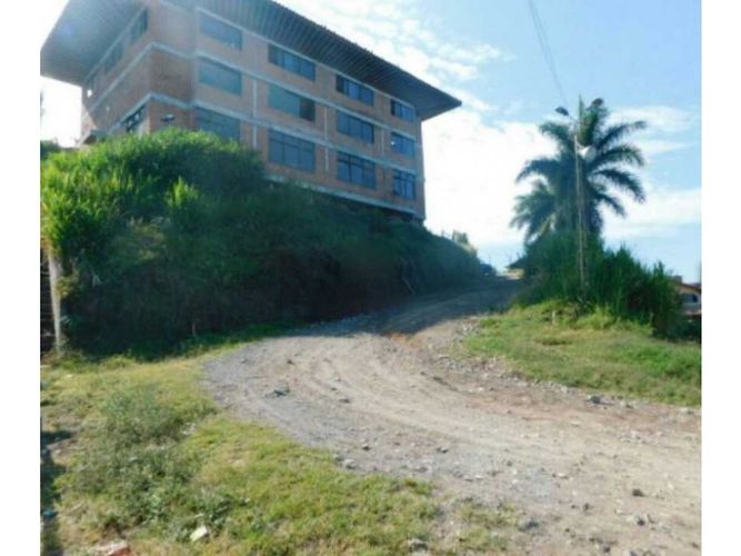 Finca en venta en Alto Tablazo, Manizales, 12000 m² · foto 6 de 13