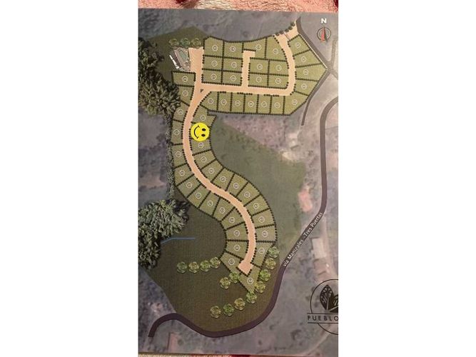 Lote en venta en La Caba�A, Manizales, 446 m² · foto 4 de 4