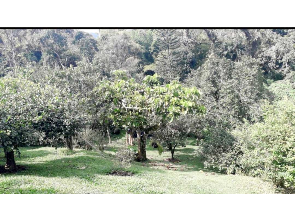 Casa en venta en El Rosario, Manizales · foto 9 de 10