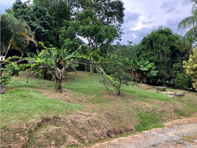 Lote en venta en La Manuela, Manizales, 1500 m² · foto 5 de 7