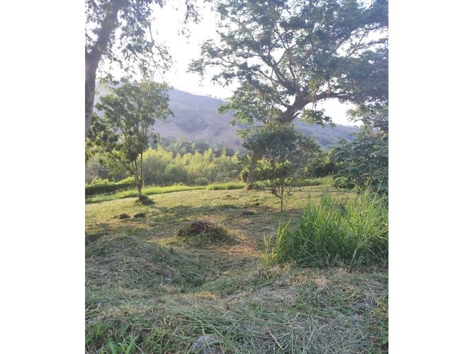 Lote en venta en El Rio, Manizales, 1562 m² · foto 3 de 4
