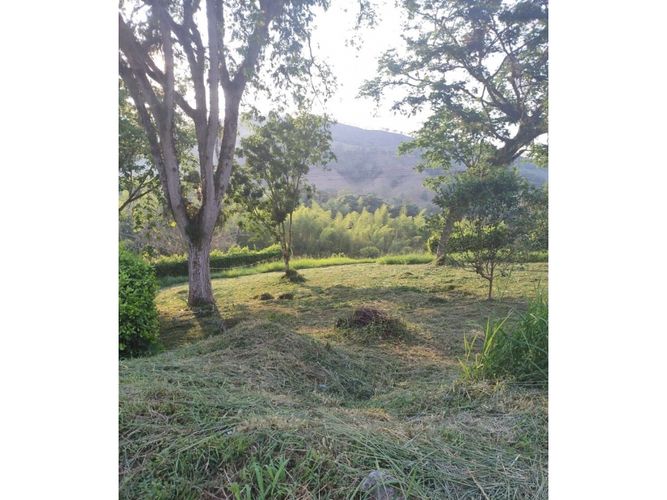 Lote en venta en El Rio, Manizales, 1562 m² · foto 4 de 4