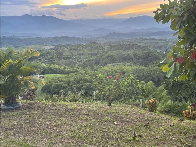 Finca en venta en Lleras, Manizales · foto 2 de 8