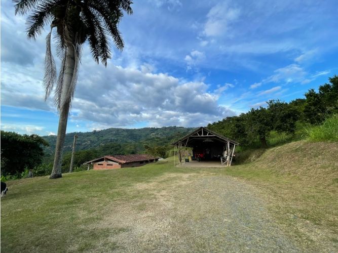 Finca en venta en Lleras, Manizales · foto 3 de 8