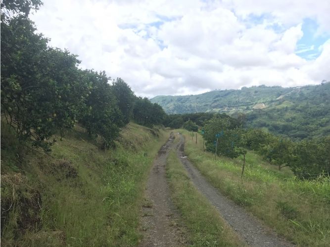 Finca en venta en Lleras, Manizales · foto 4 de 8