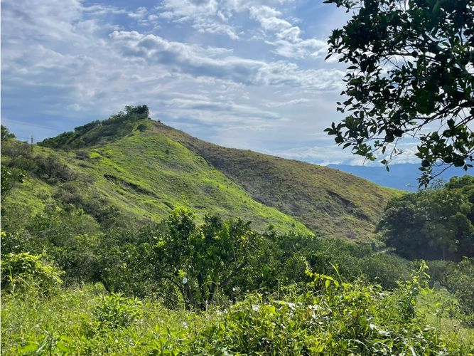 Finca en venta en Lleras, Manizales · foto 8 de 8