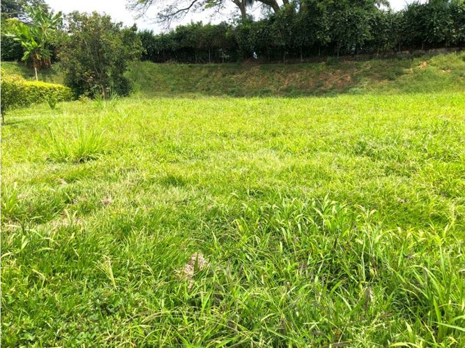 Lote en venta en Santagueda, Manizales, 1802 m² · foto 3 de 7