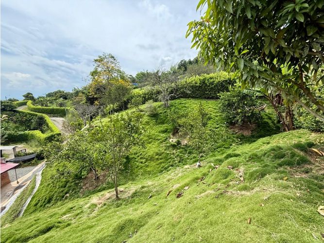 Lote en venta en Cambia, Manizales, 300 m² · foto 8 de 17