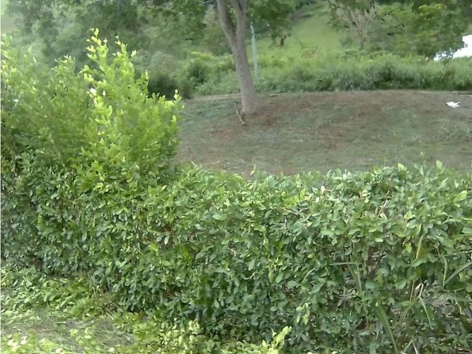 Lote en venta en El Rio, Manizales, 1074 m² · foto 2 de 4