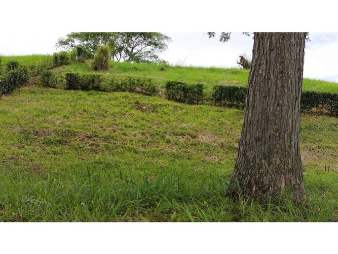 Lote en venta en El Rio, Manizales, 1074 m² · foto 4 de 4
