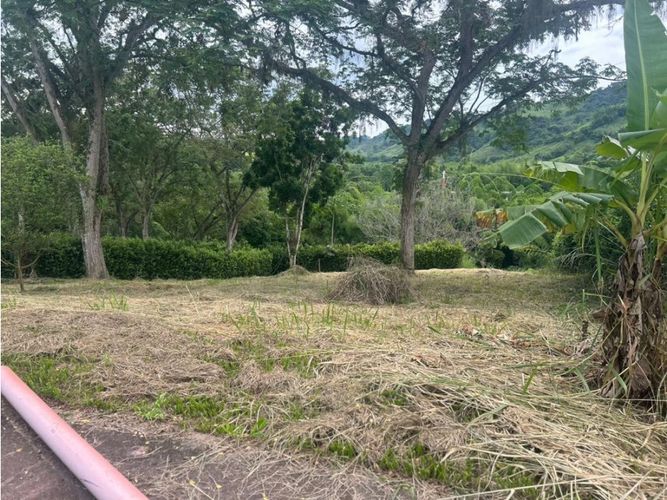 Lote en venta en El Rio, Manizales, 1500 m² · foto 2 de 3