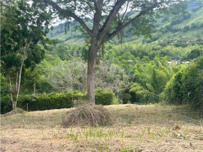 Lote en venta en El Rio, Manizales, 1500 m² · foto 3 de 3
