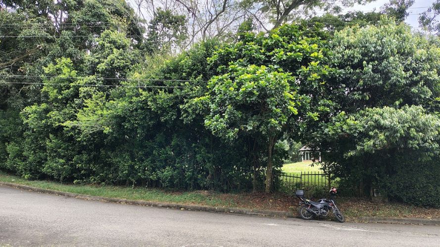 Lote en venta en Pance, Cali, 4631 m² · foto 3 de 8