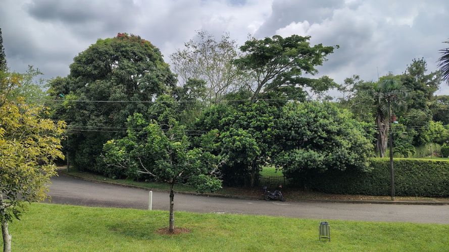 Lote en venta en Pance, Cali, 4631 m² · foto 6 de 8