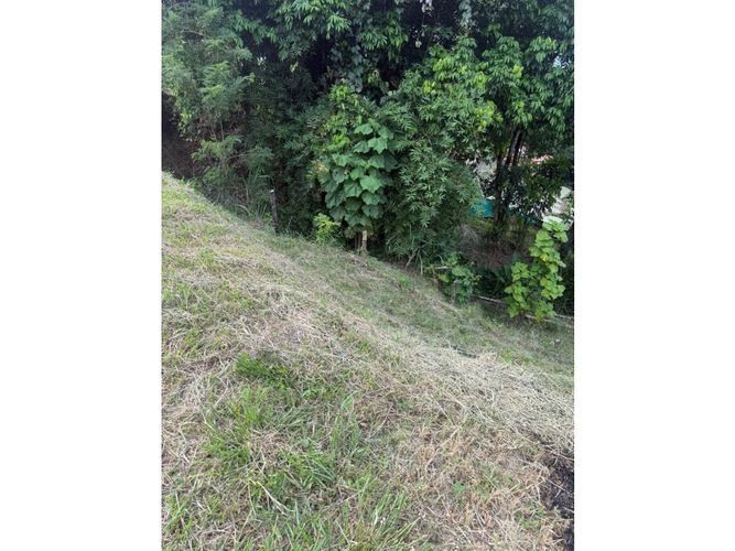 Lote en venta en La Caba�A, Manizales · foto 6 de 6