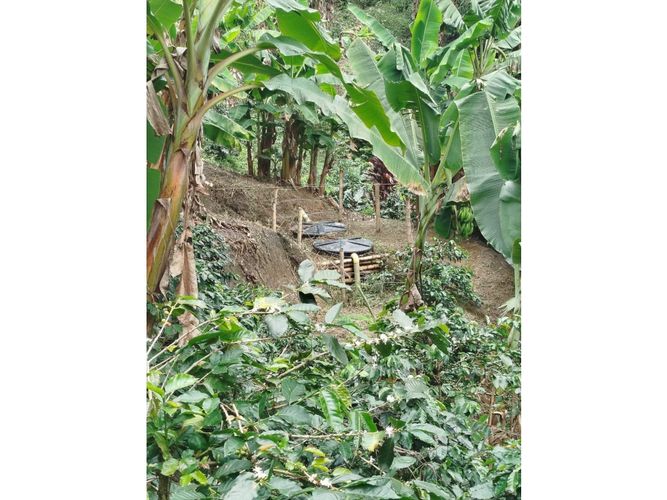 Finca en venta en Patio Bonito, Manizales, 346 m² · foto 2 de 8